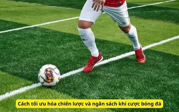 Chiến lược soi kèo từng bước để tối ưu cược
