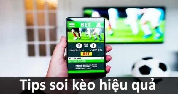 Chiến lược chơi kèo 1x2 từ cơ bản đến nâng cao