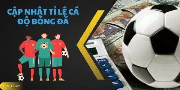 Những lưu ý vàng khi chơi kèo 2.5-3