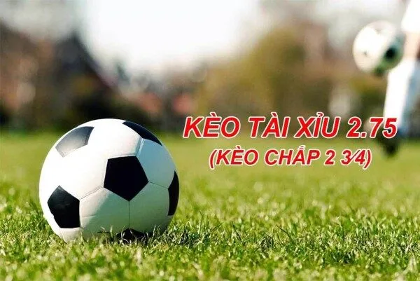 Kèo tài xỉu 2.75 là gì? Giải mã khái niệm cho người mới