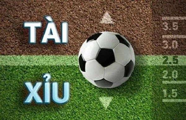 Mẹo dành cho người chơi kèo tài xỉu 2.75 có kinh nghiệm