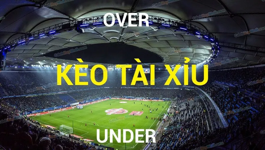 Giải thích và hiểu đúng về kèo 5/5.5