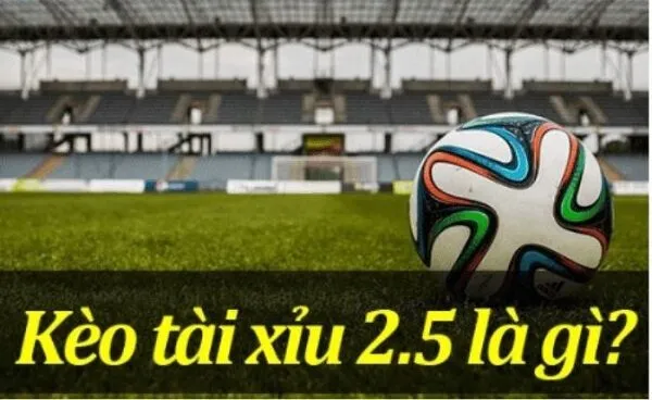 Kèo tài xỉu 2.5