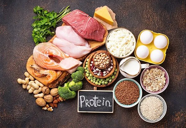 Protein đóng vai trò quan trọng trong việc bảo vệ và phục hồi cơ bắp