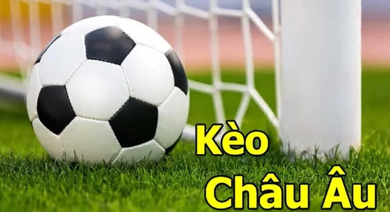 Cách các nhà cái tính Odds trong kèo Châu Âu