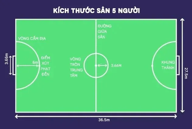 Quy định kích thước sân bóng đá 5 người theo chuẩn FIFA và các tổ chức liên quan