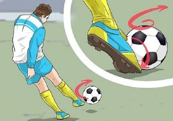 Nguyên lý động tác và các kiểu đá bóng bằng lòng bàn chân