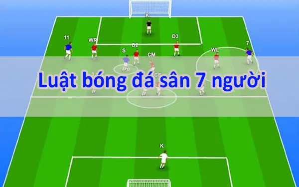 Tổng quan về luật bóng đá 7 người 