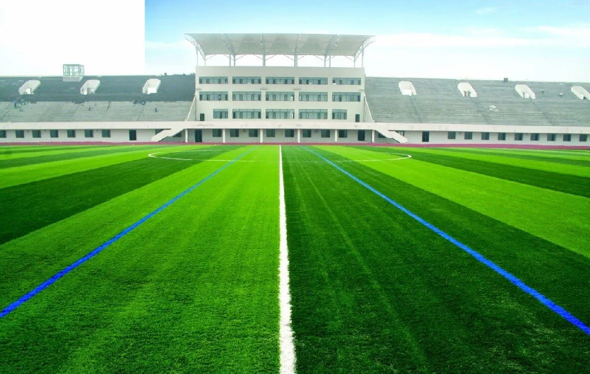 Những tiêu chuẩn quốc tế trong cải tiến sân bóng 7 người