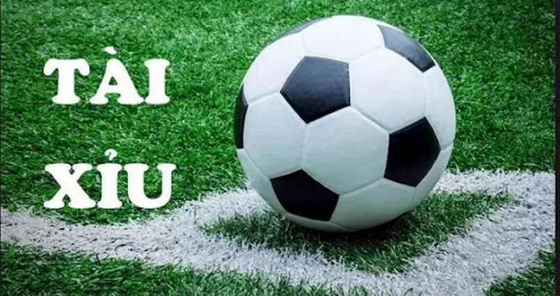 Các loại cá cược tài xỉu đặc biệt trong bóng đá
